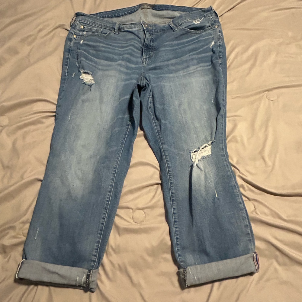 Torrid jeans